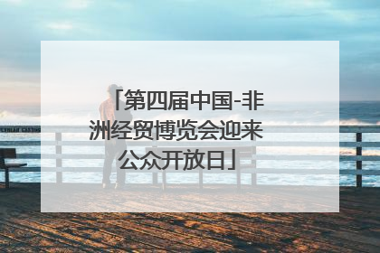第四届中国-非洲经贸博览会迎来公众开放日