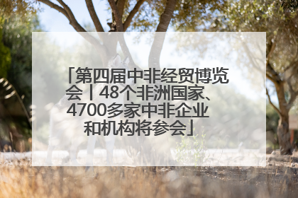 第四届中非经贸博览会丨48个非洲国家、4700多家中非企业和机构将参会