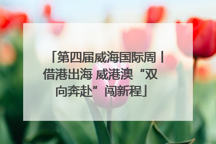 第四届威海国际周丨借港出海 威港澳“双向奔赴”闯新程