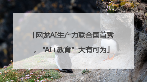 网龙AI生产力联合国首秀，“AI+教育”大有可为