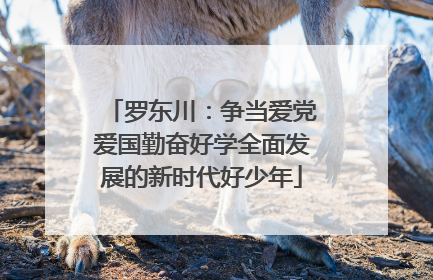 罗东川：争当爱党爱国勤奋好学全面发展的新时代好少年