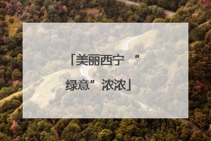 美丽西宁 “绿意”浓浓