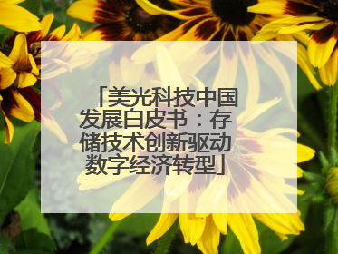 美光科技中国发展白皮书：存储技术创新驱动数字经济转型
