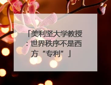 美利坚大学教授：世界秩序不是西方“专利”