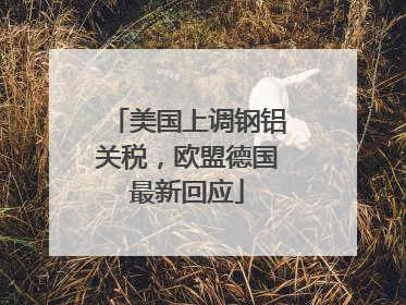 美国上调钢铝关税，欧盟德国最新回应