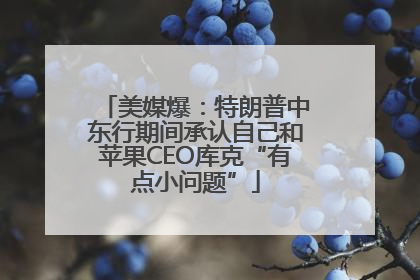 美媒爆：特朗普中东行期间承认自己和苹果CEO库克“有点小问题”