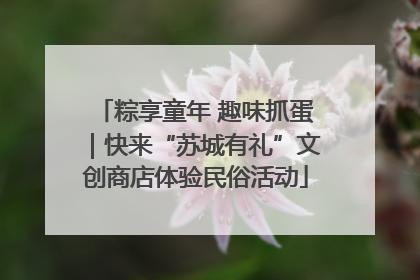 粽享童年 趣味抓蛋｜快来“苏城有礼”文创商店体验民俗活动