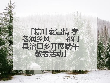 粽叶裹温情 孝老润乡风——祁门县溶口乡开展端午敬老活动