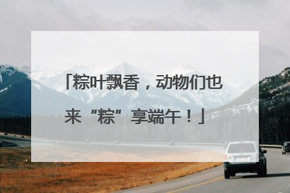 粽叶飘香，动物们也来“粽”享端午！