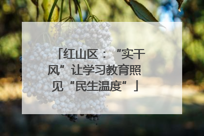 红山区：“实干风”让学习教育照见“民生温度”