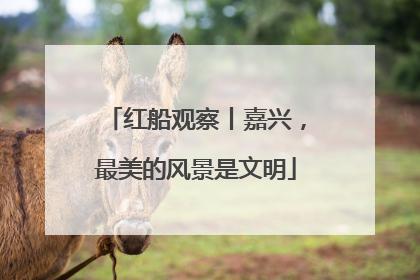 红船观察丨嘉兴，最美的风景是文明