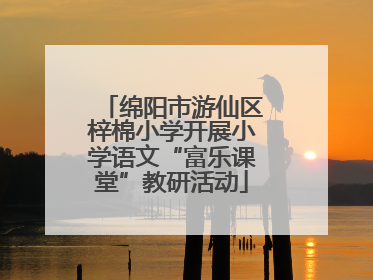 绵阳市游仙区梓棉小学开展小学语文“富乐课堂”教研活动