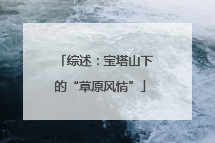 综述：宝塔山下的“草原风情”