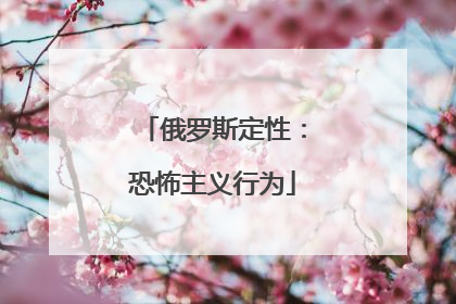 俄罗斯定性：恐怖主义行为