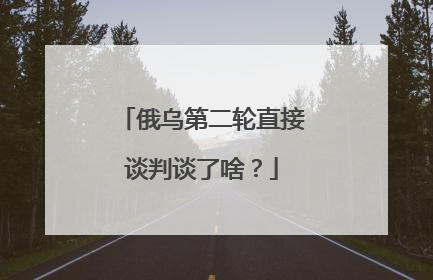 俄乌第二轮直接谈判谈了啥？