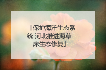 保护海洋生态系统 河北推进海草床生态修复