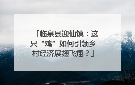 临泉县迎仙镇：这只“鸡”如何引领乡村经济展翅飞翔？