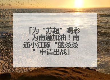 为“苏超”喝彩，为南通加油！南通小江豚“蓝叒叒”申请出战