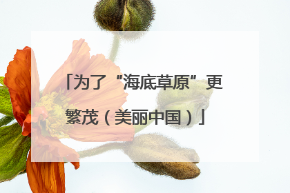 为了“海底草原”更繁茂（美丽中国）