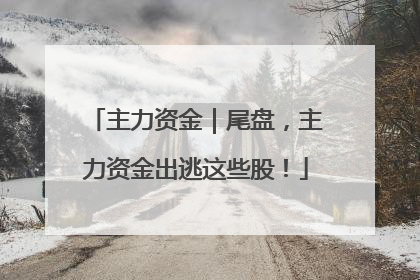主力资金｜尾盘，主力资金出逃这些股！
