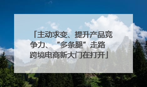 主动求变、提升产品竞争力、“多条腿”走路 跨境电商新大门在打开