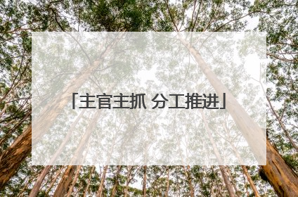 主官主抓 分工推进