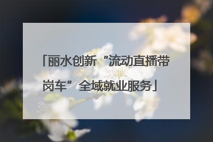 丽水创新“流动直播带岗车”全域就业服务