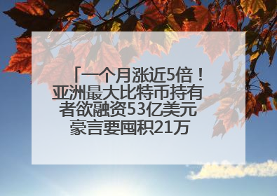 一个月涨近5倍！亚洲最大比特币持有者欲融资53亿美元 豪言要囤积21万枚比特币