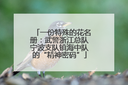 一份特殊的花名册：武警浙江总队宁波支队镇海中队的“精神密码”