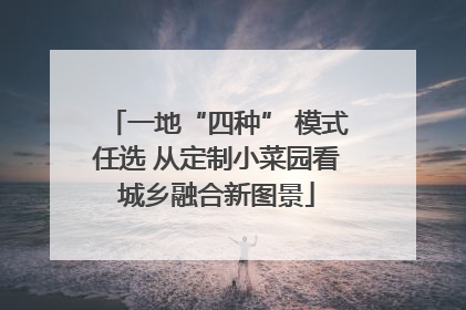 一地“四种” 模式任选 从定制小菜园看城乡融合新图景