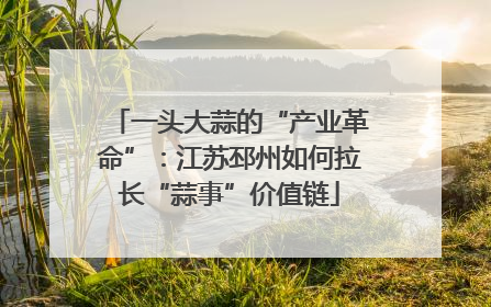 一头大蒜的“产业革命”：江苏邳州如何拉长“蒜事”价值链