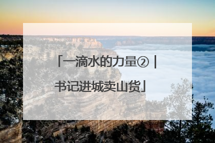 一滴水的力量②｜书记进城卖山货