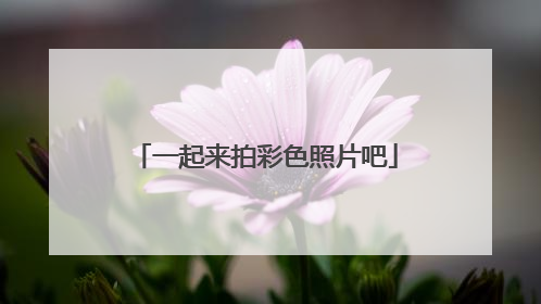 一起来拍彩色照片吧
