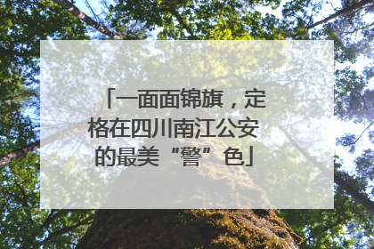 一面面锦旗，定格在四川南江公安的最美“警”色