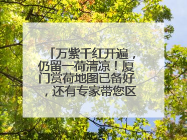 万紫千红开遍，仍留一荷清凉！厦门赏荷地图已备好，还有专家带您区分荷与莲→