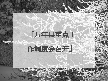 万年县重点工作调度会召开