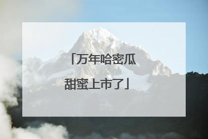 万年哈密瓜甜蜜上市了