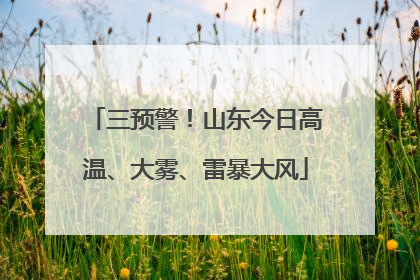 三预警！山东今日高温、大雾、雷暴大风