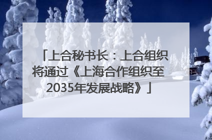 上合秘书长：上合组织将通过《上海合作组织至2035年发展战略》