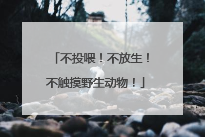 不投喂！不放生！不触摸野生动物！