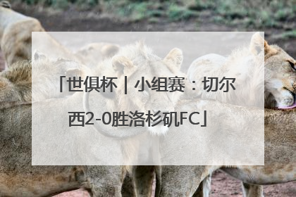 世俱杯｜小组赛：切尔西2-0胜洛杉矶FC