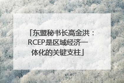 东盟秘书长高金洪：RCEP是区域经济一体化的关键支柱