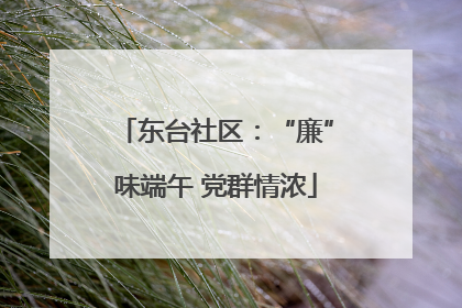 东台社区：“廉”味端午 党群情浓
