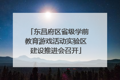 东昌府区省级学前教育游戏活动实验区建设推进会召开