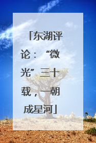 东湖评论：“微光”三十载，一朝成星河
