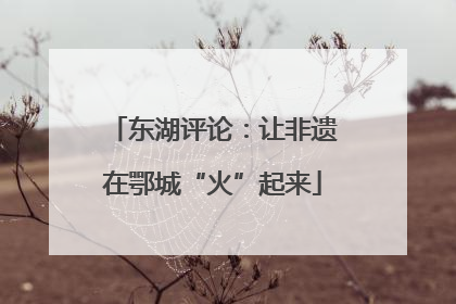 东湖评论：让非遗在鄂城“火”起来