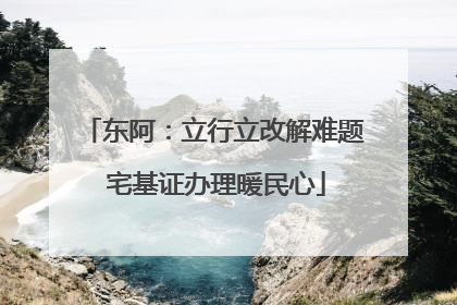 东阿：立行立改解难题 宅基证办理暖民心