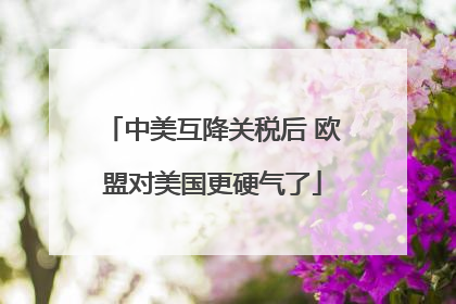 中美互降关税后 欧盟对美国更硬气了