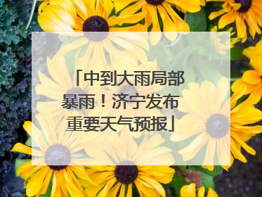 中到大雨局部暴雨！济宁发布重要天气预报