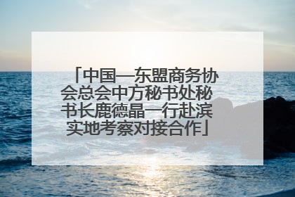 中国—东盟商务协会总会中方秘书处秘书长鹿德晶一行赴滨实地考察对接合作